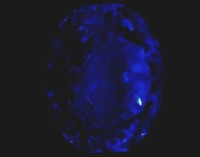 fluorescence