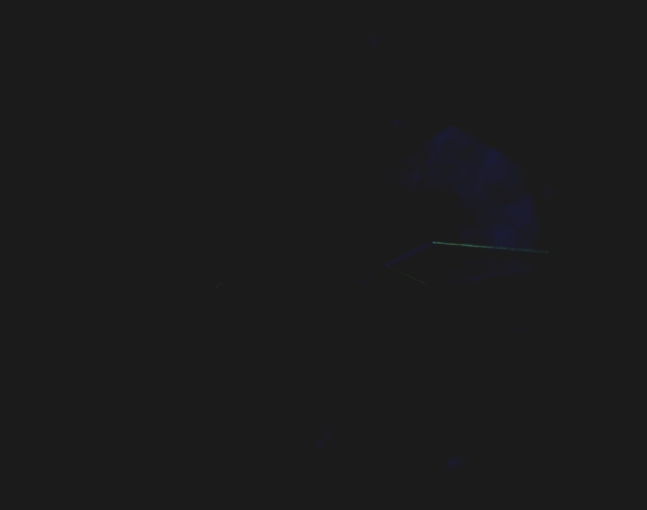 fluorescence