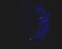 fluorescence
