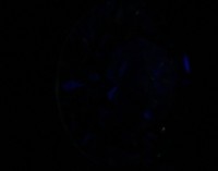 fluorescence